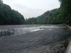 【過去の放浪記】2013年春八海山と吹割の滝編