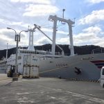 【船旅のすすめ】東海汽船さるびあ丸で行く伊豆七島の旅