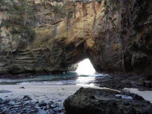 2018年最後の旅行　伊豆を1日でとことん楽しむ