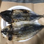 【アイモバリアルグルメツアー】大島/新島エリアのくさやを求めて渡島する