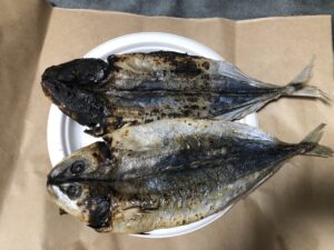 【アイモバリアルグルメツアー】大島/新島エリアのくさやを求めて渡島する