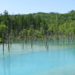 経年劣化日によせて（2021年版）